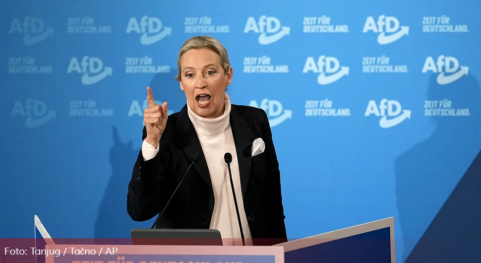 vajdel afd.webp